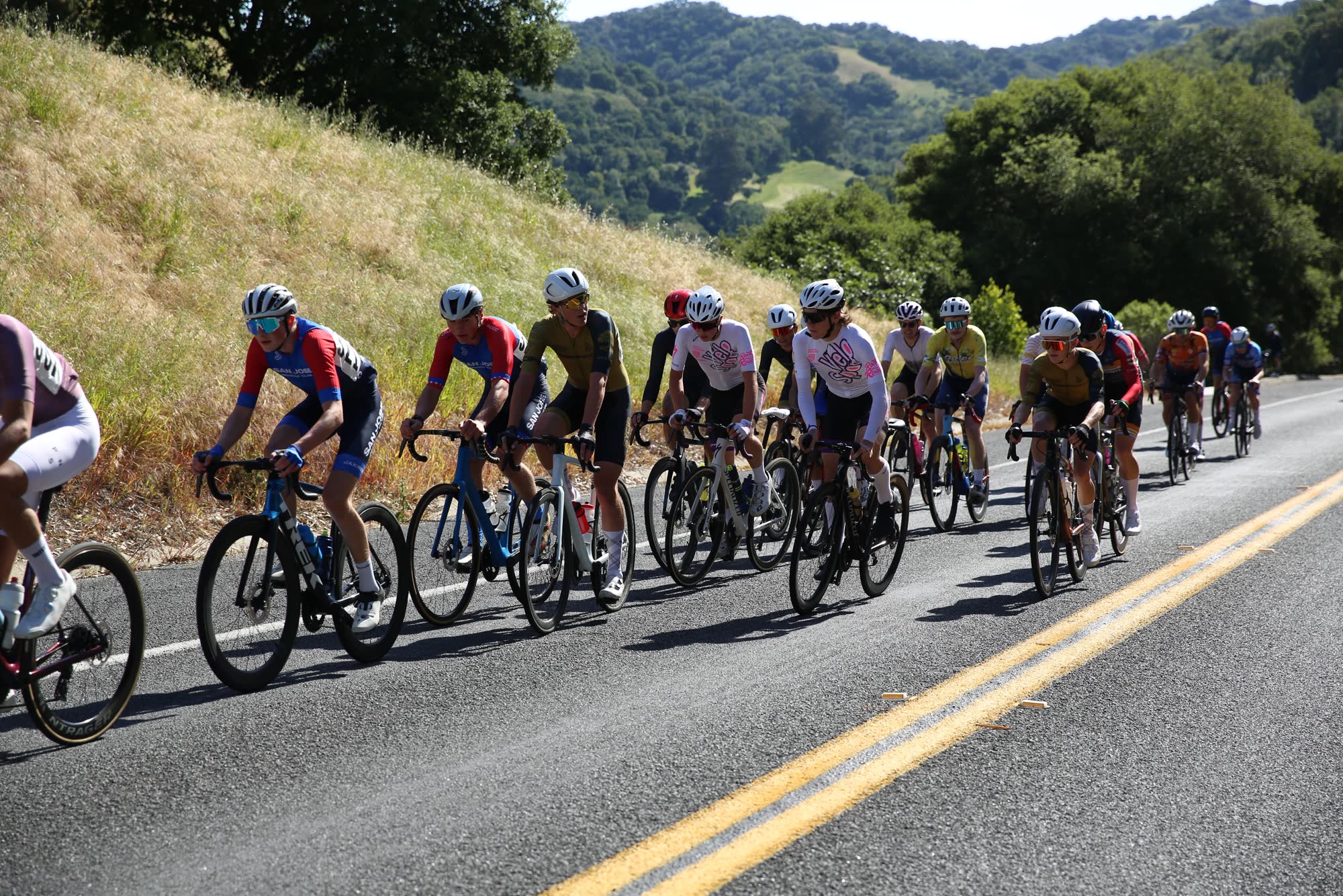 The main field rolling along a grassy hillside at the Berkeley Hills Road Race