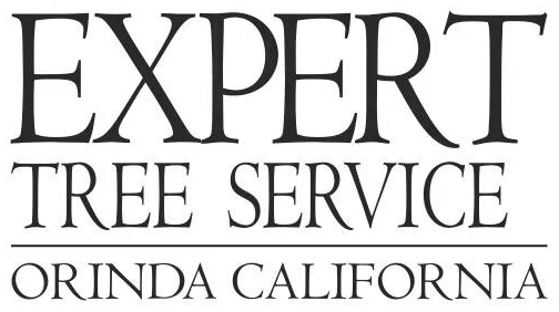 Expert Tree Service logo