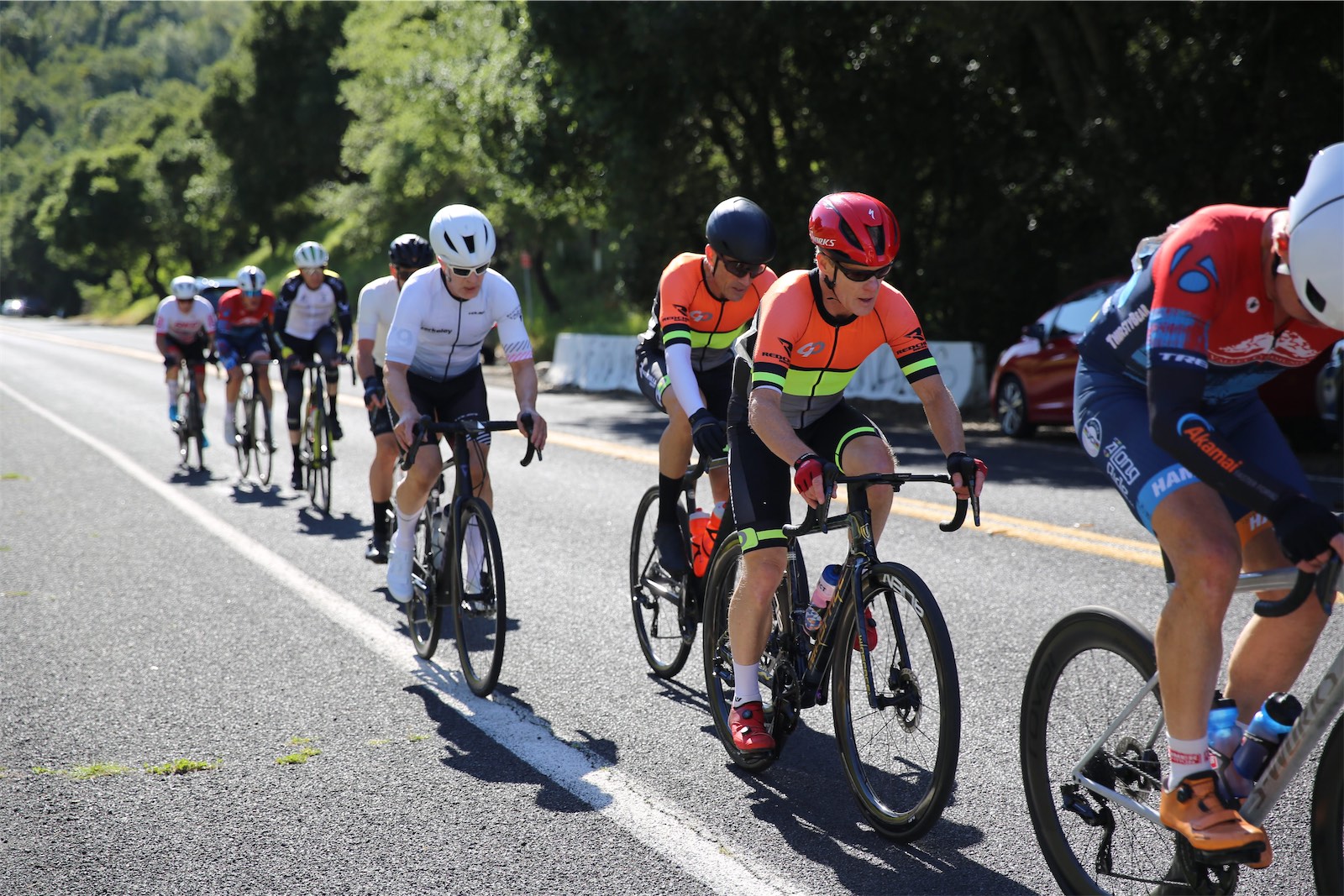 Berkeley Bicycle Club members racing in a line of riders on a sunny road at the 2026 Berkeley Hills Road Race